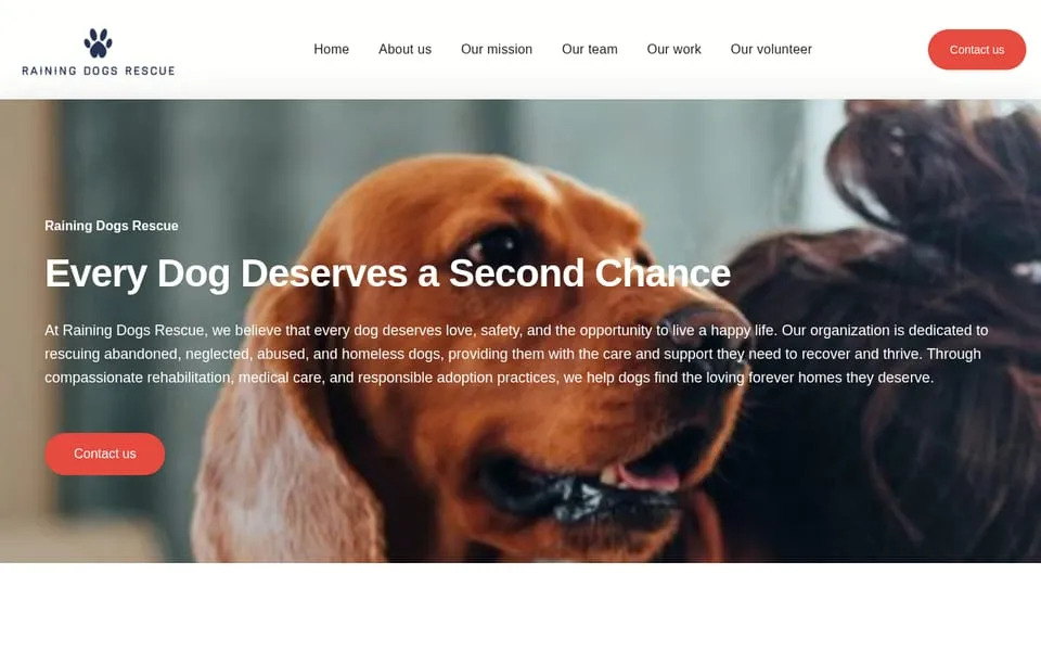 2025 – 2026 · 150+ WordPress sites for agency clients